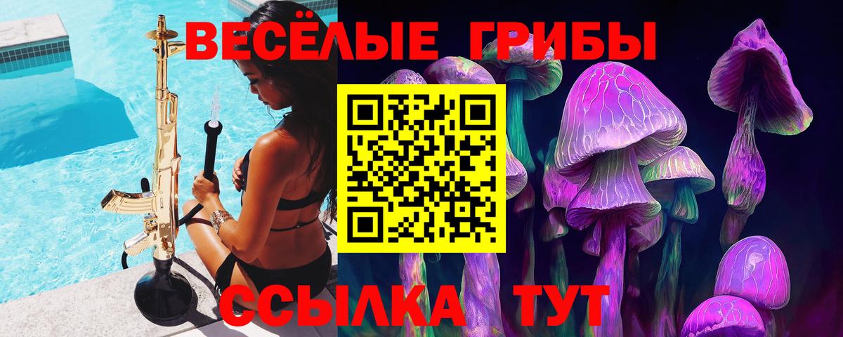 Псилоцибиновые грибы Psilocybe Сафоново